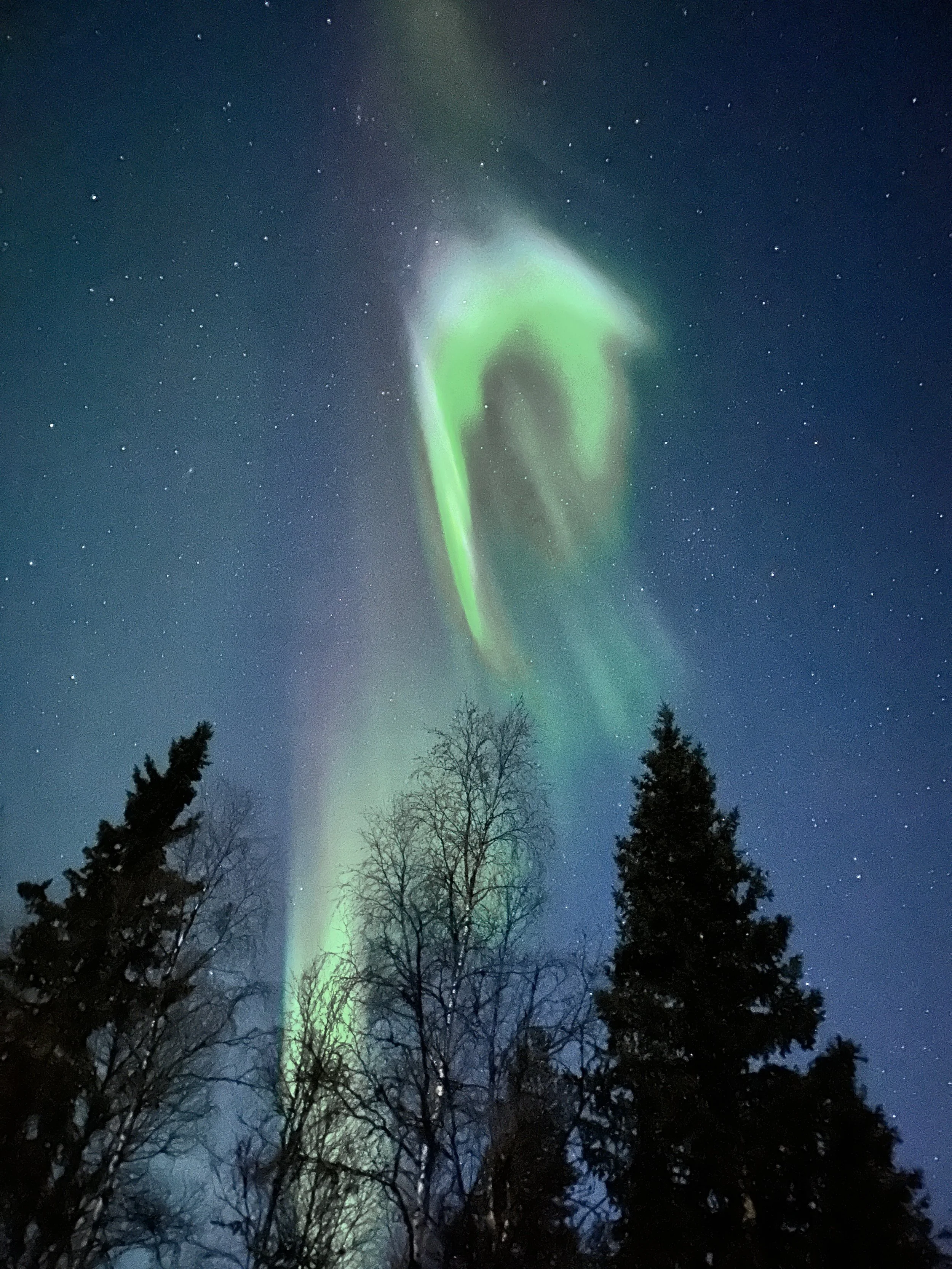 Aurora Kiruna.jpeg