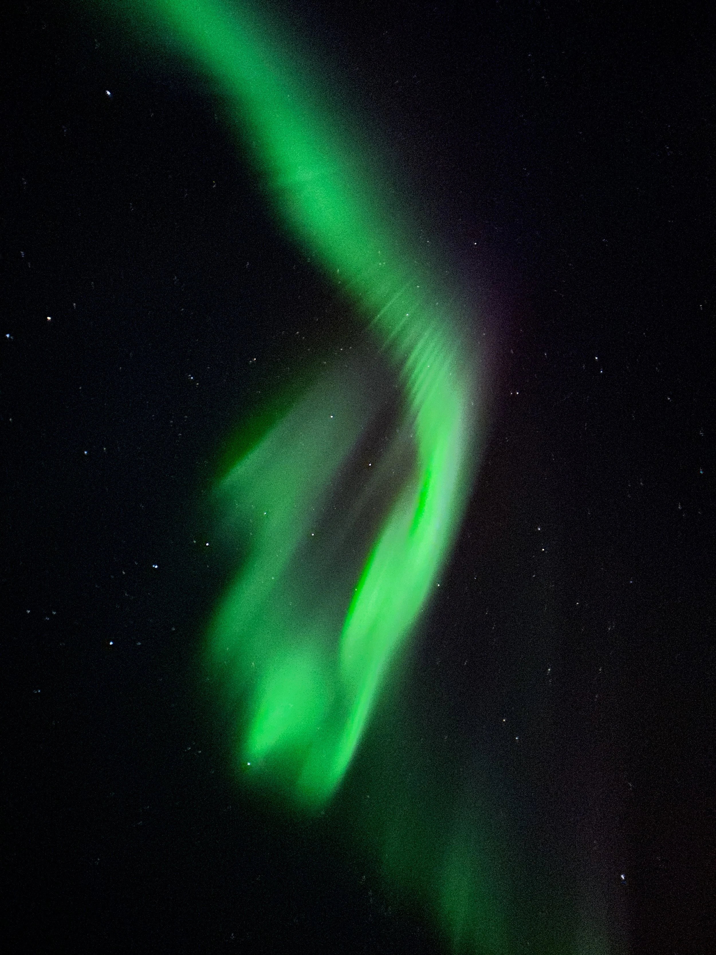 Aurora near Abisko.jpeg