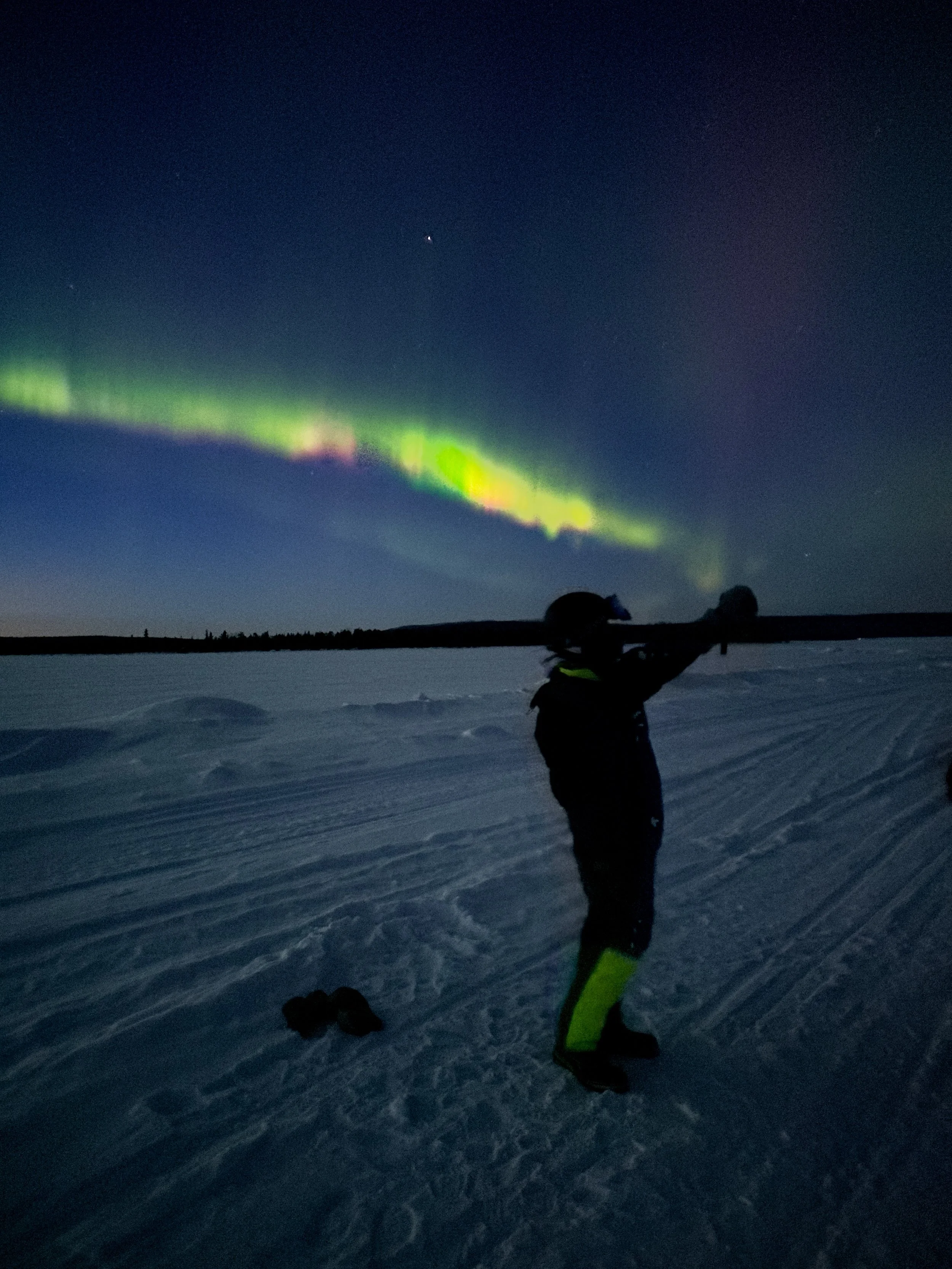 Aurora Snowdog.jpeg