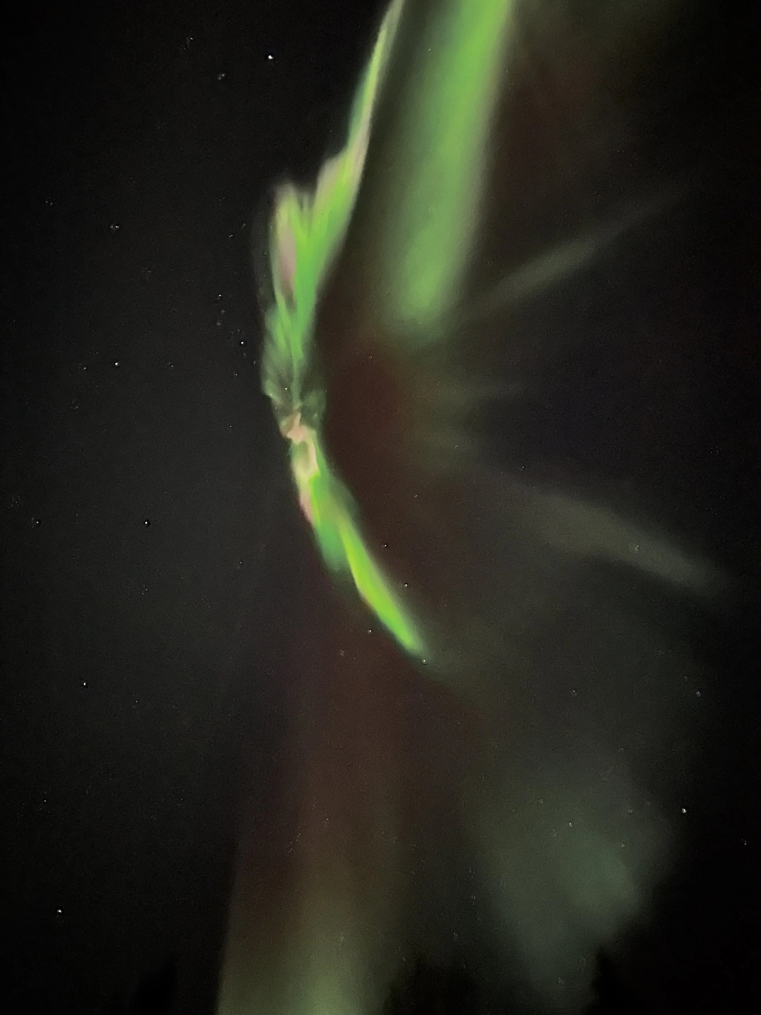 Northern Lights Kiruna.jpeg