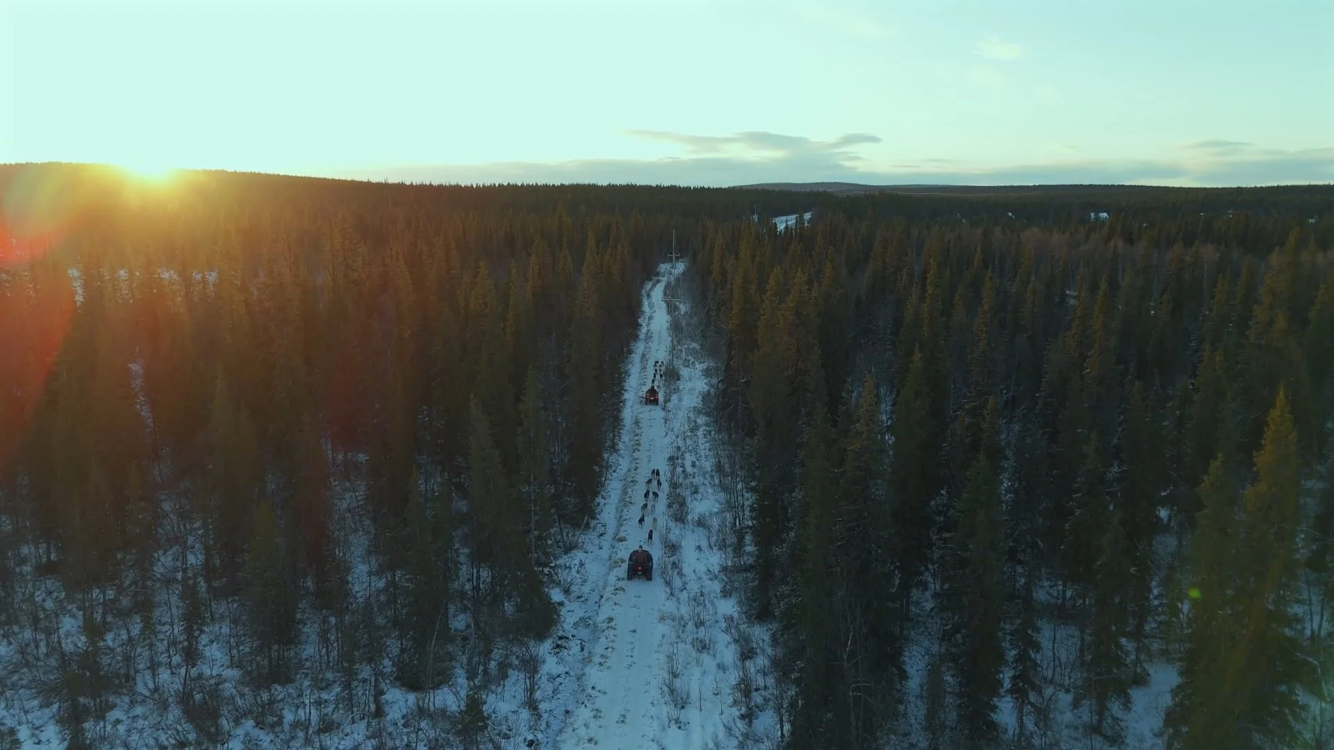 Arctic Discovery