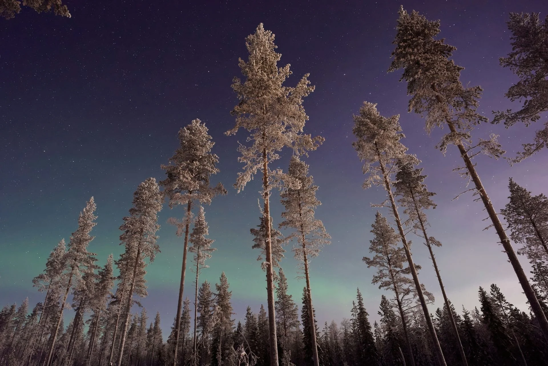 vincent-guth-MAxHEAaAukI-unsplash_1.jpg