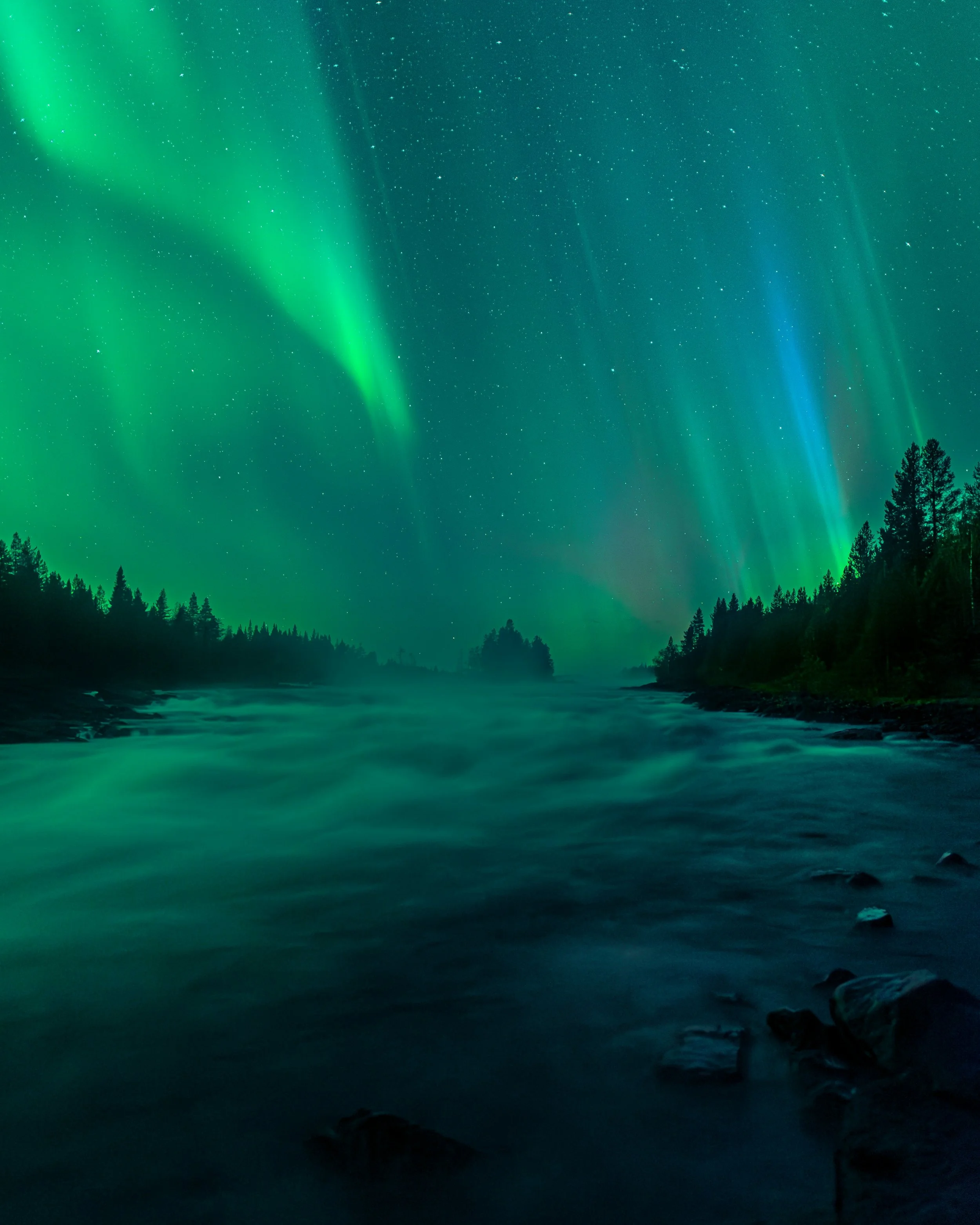 Northern lights over a forest and river at night.