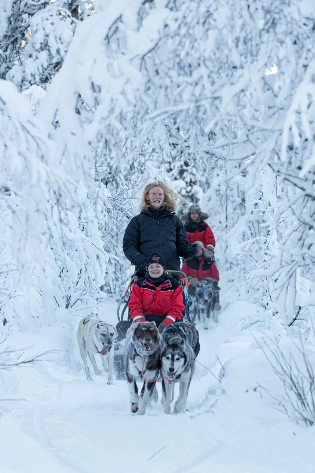 People sledding with huskies through a snowy forest path.