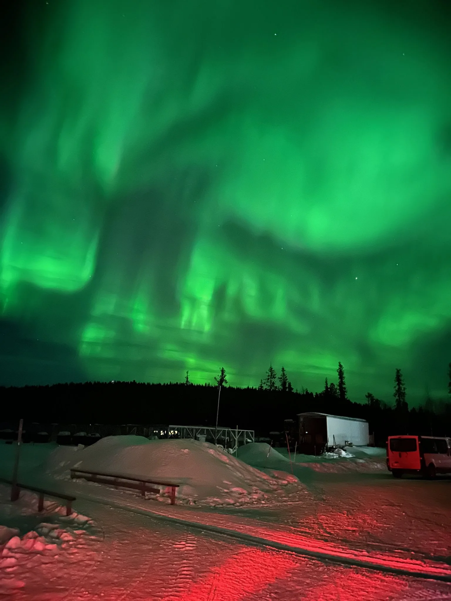 Northern lights with a green aurora illuminating the night sky over a snowy landscape, featuring parked vehicles and trees.