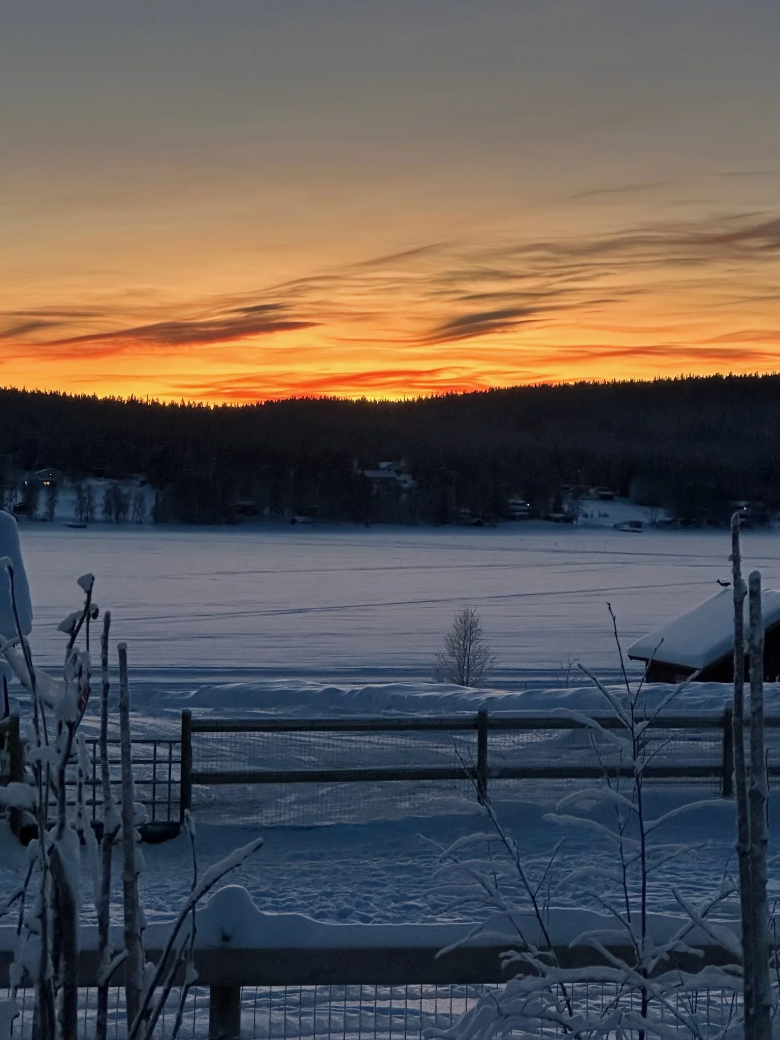 Snow-covered landscape with a fence and trees at sunset, orange and yellow sky over a forested horizon.