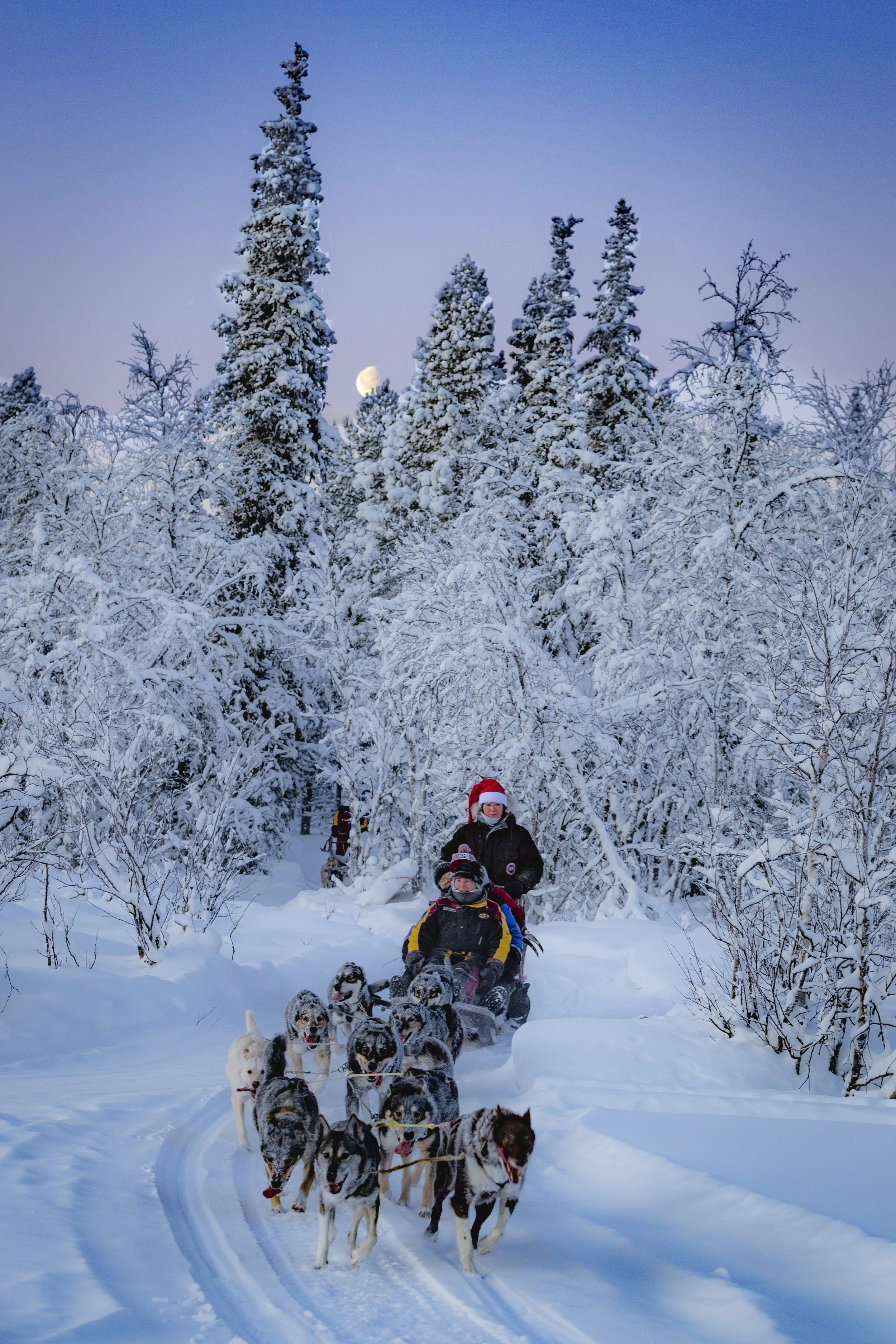 Dogsledding through a snowy forest with a person driving and a passenger in winter gear.
