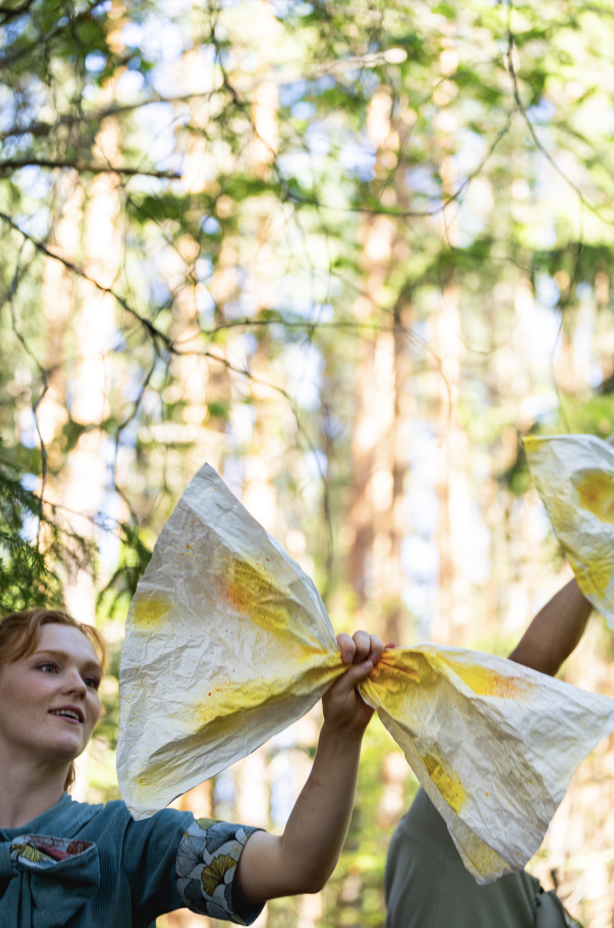 Skjermbilde 2025-09-04 kl. 15.11.55.png