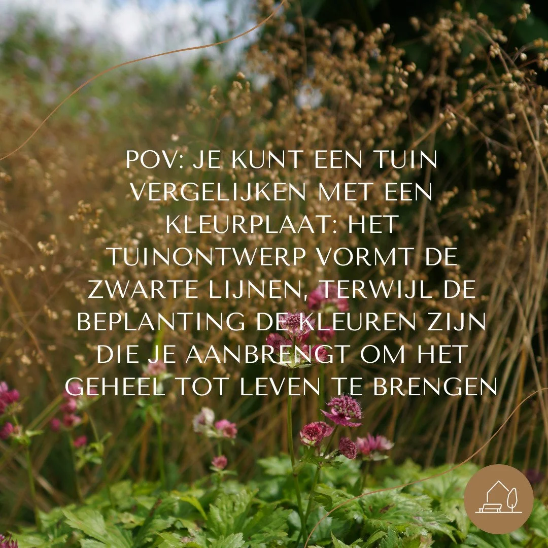 POV: Je kunt een tuinontwerp vergelijken met een kleurplaat: het tuinontwerp vormt de zwarte lijnen, terwijl de beplanting de kleuren zijn die je aanbrengt om het geheel tot leven te brengen.
