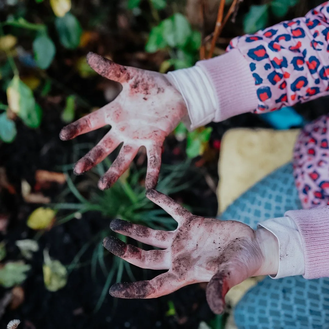WEEKEND RECAP 🌿 

Het was tijd om de tuin eindelijk eens op te ruimen (je kent dat wel, achterstallig werk 😉). Aantal planten uit de grond gehaald, een paar nieuwe exemplaren in de border gezet om te gaan testen &ndash; en wat een feest om dat same