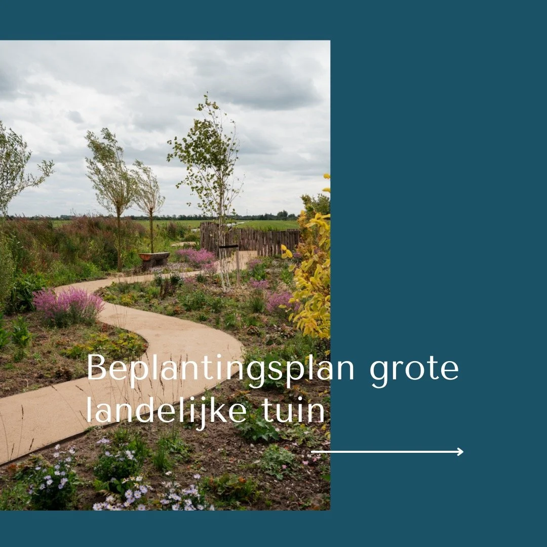 BEPLANTINGSPLAN IN DRIE LAGEN

Voor deze tuin had ik eerder al een terreinontwerp gemaakt (en met jullie gedeeld), en voor de zomer heb ik ook een border van 250 m&sup2; ontworpen. In juli is deze door hoveniersbedrijf Schaddelee aangeplant en inmidd