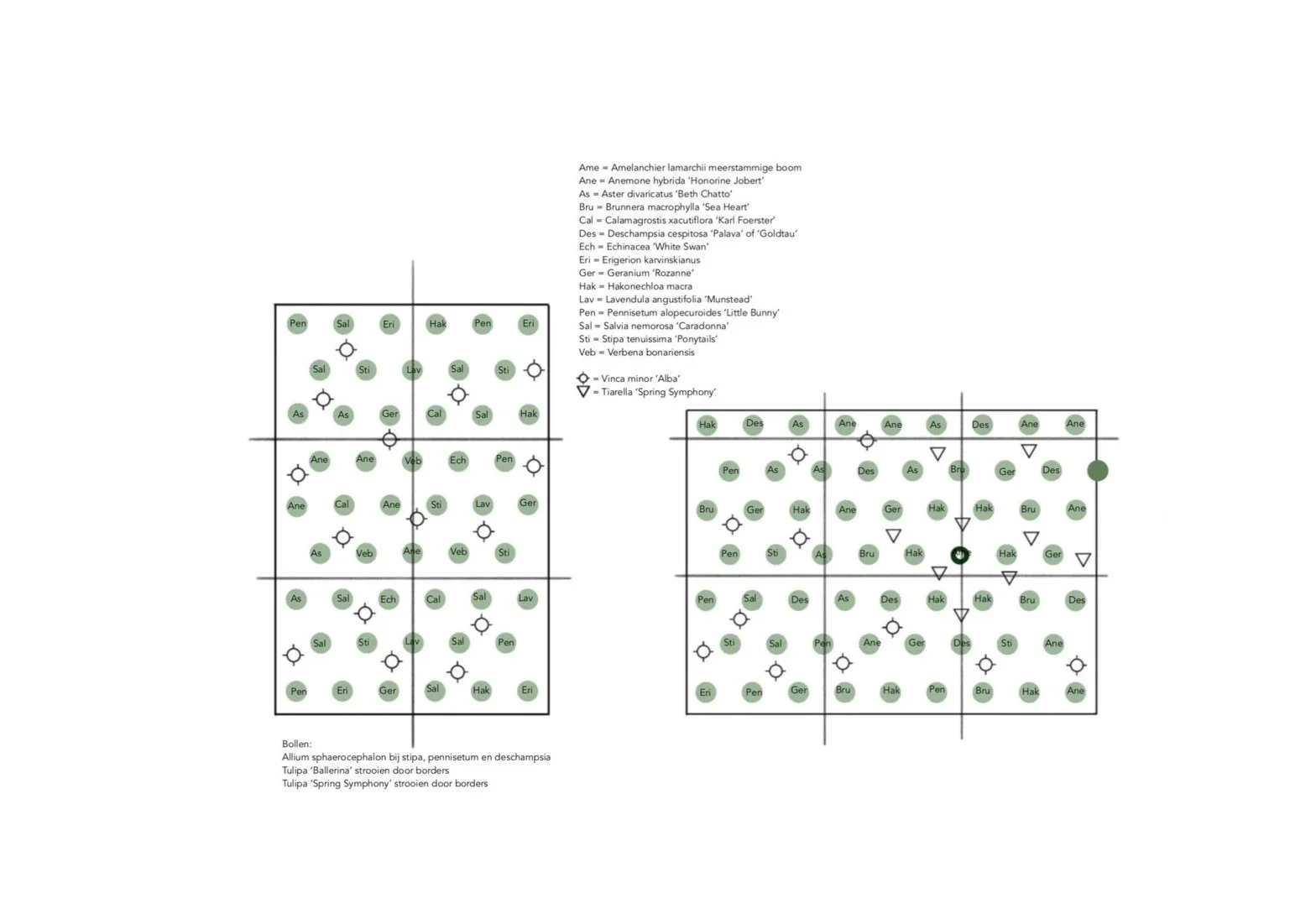 Een beplantingsplan voor een achtertuin, uitgewerkt in een technisch tekening met verschillende plantsoorten, inclusief een legenda met namen van planten zoals Amelanchier, Anemone, Astilbe, Calamagrostis, Deschampsia, Echinacea, Eriophorum, Geranium, Hakonechloa, Lavandula, Penstemon, Salvia, Stipa, Verbena en Viola. Er zijn twee secties met beplanting, met symbolen die verschillende planten aangeven.