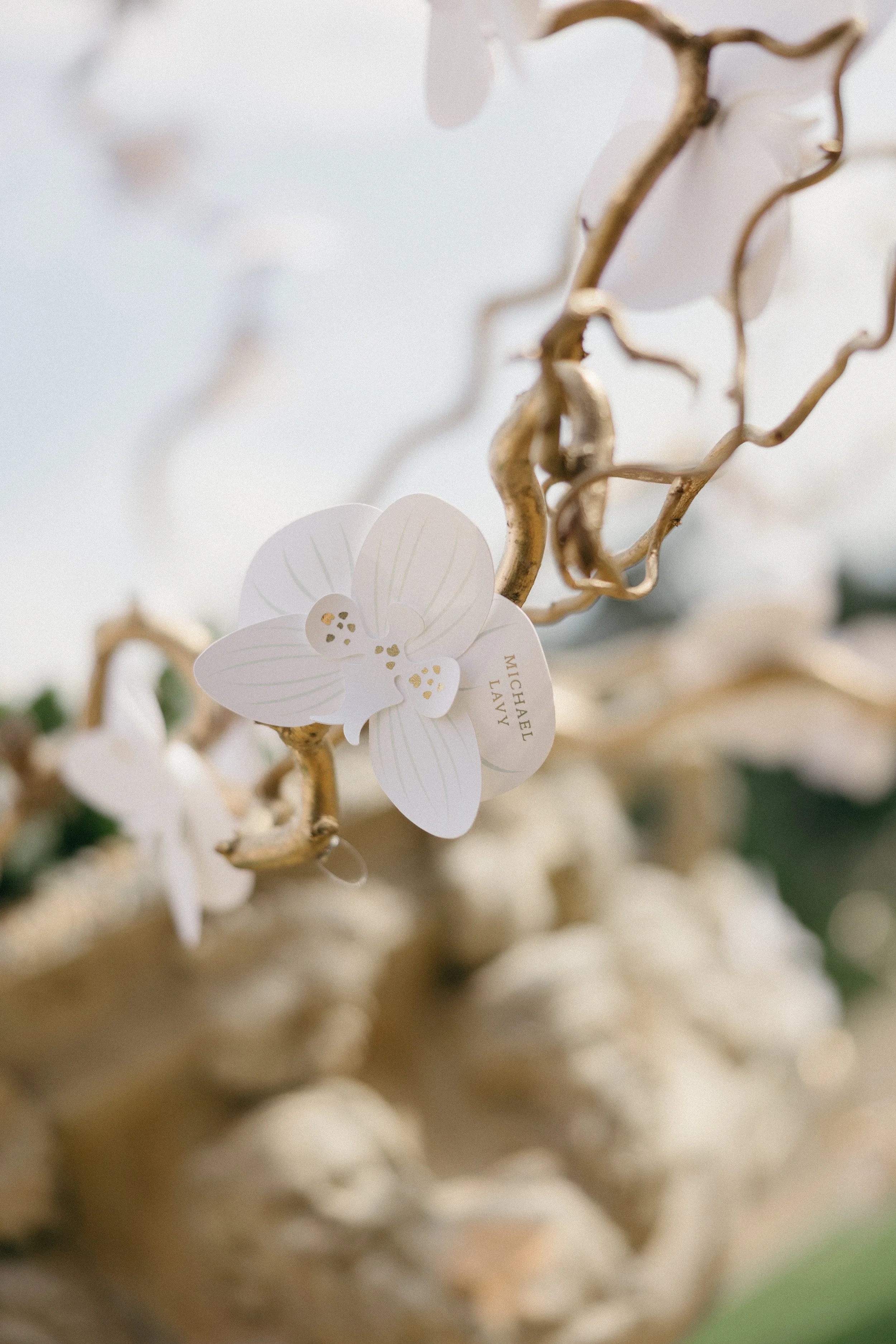 Wedding Stationery Business Mentor