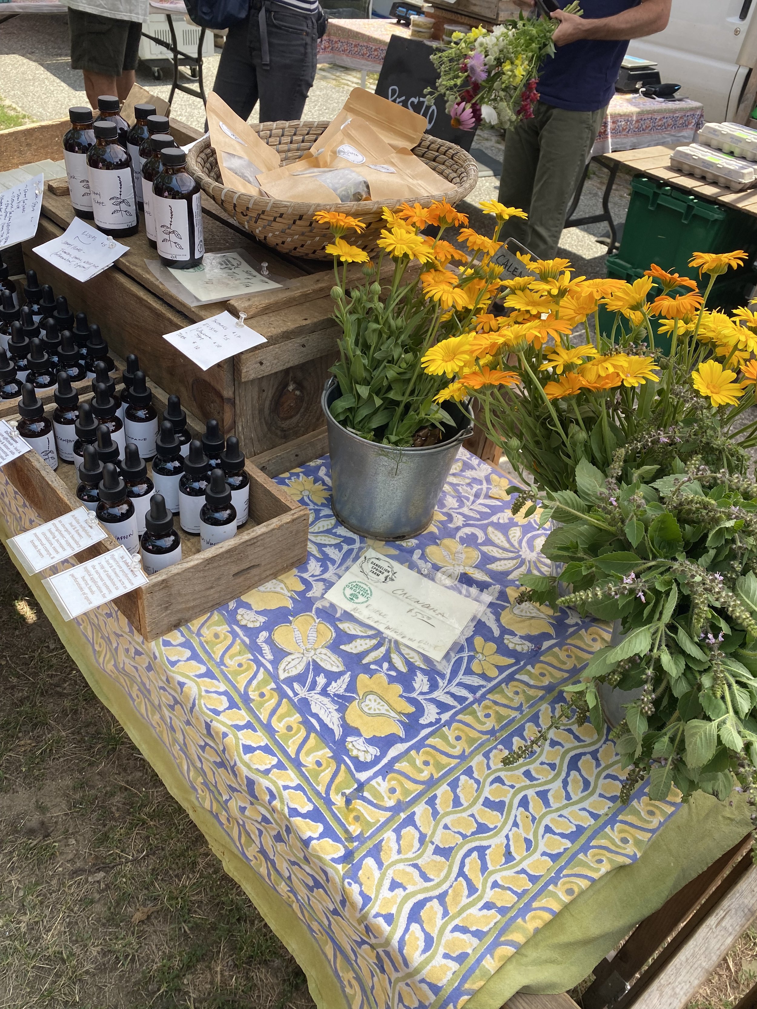 Reflections on my Pilates Immersion Week in Portland, Maine. Part Three.