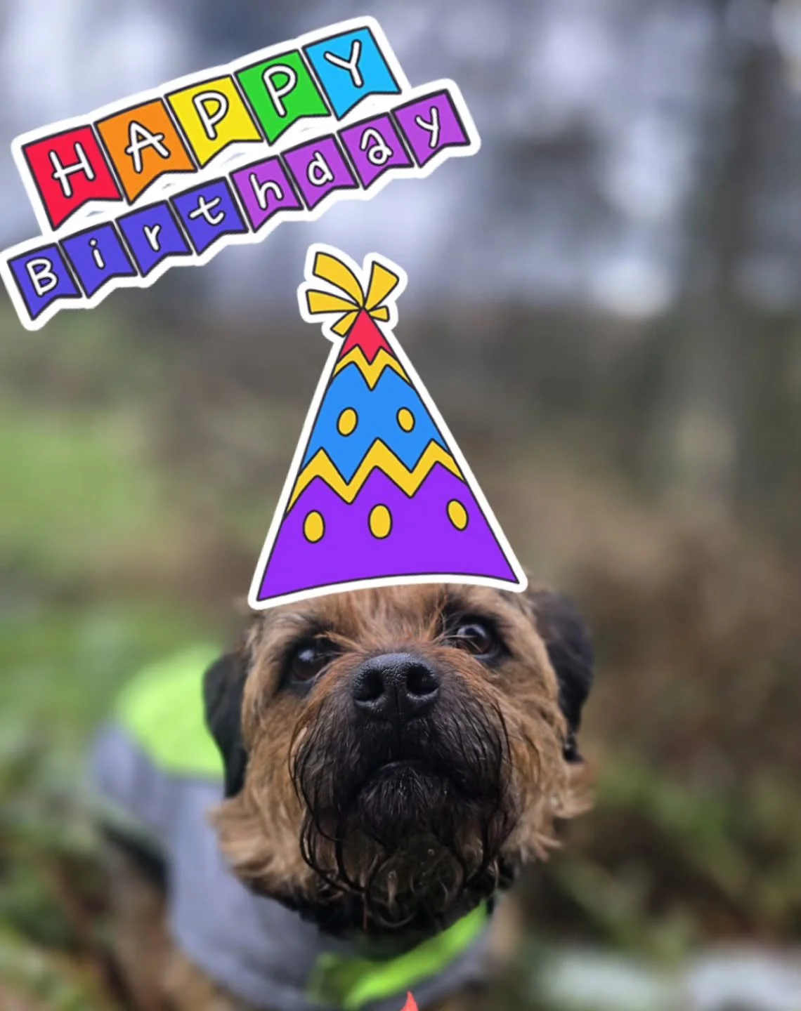 🎂Happy Birthday Angus🎂