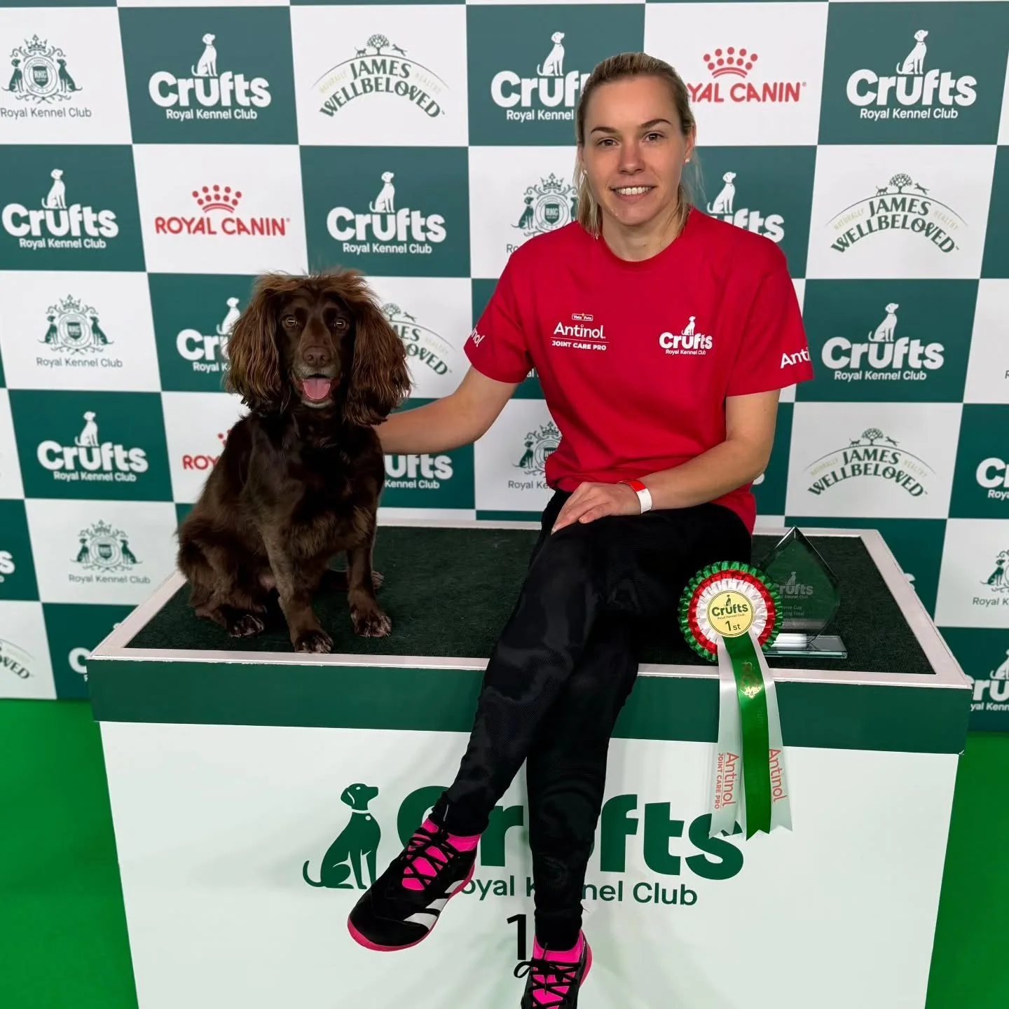 Crufts Update 💚

Thank you everyone for your messages of support, it truly is an honour to be supported in not only my professional work but also in my dog hobbies 🐾

Nala exceeded all expectations by winning the jumping round yesterday morning, sp