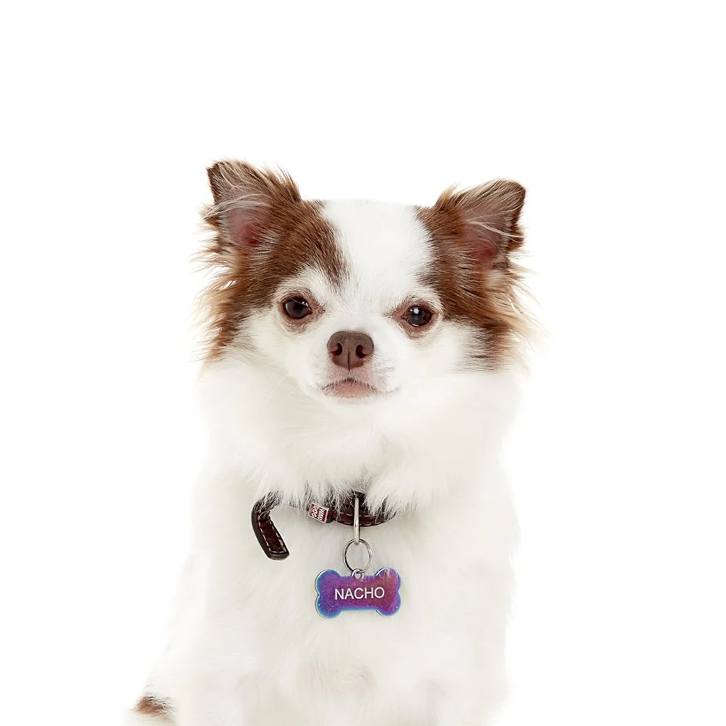 11654323_ 014b_1.jpg