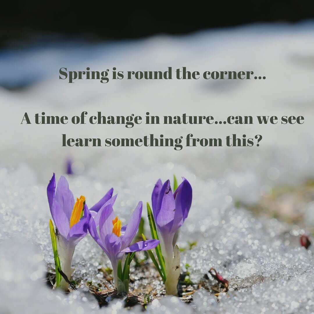 It is a rainy London morning, but on 1st March it feels like spring is closeby. You can already see the new flowers emerging and the changes in nature. How do you deal with change? Do you find it exhilarating or terrifying? To me this feels like an o
