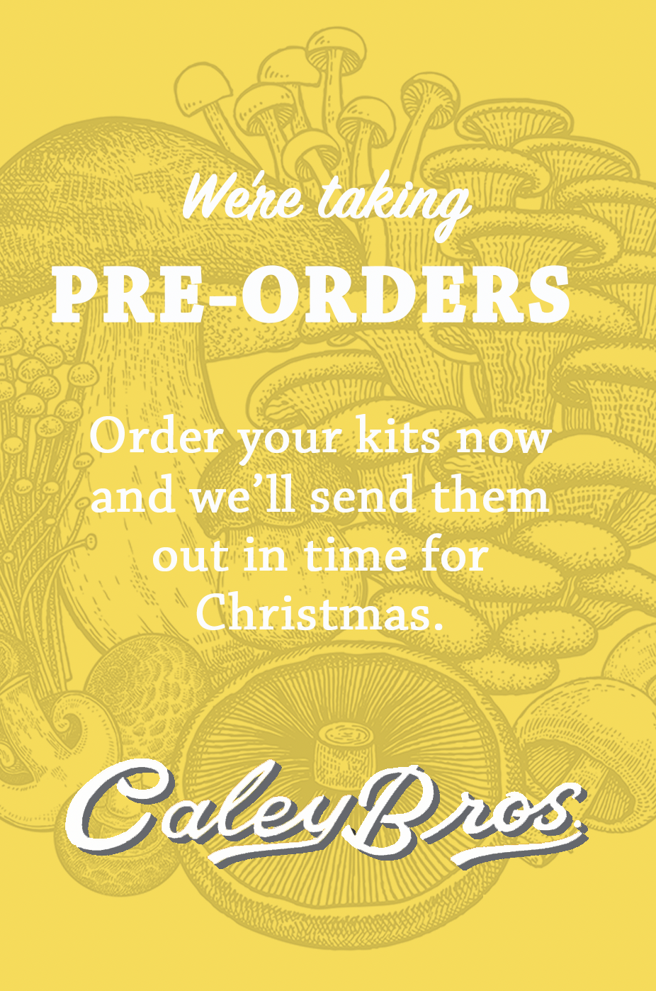 Christmas Pre-Orders - NOW OPEN