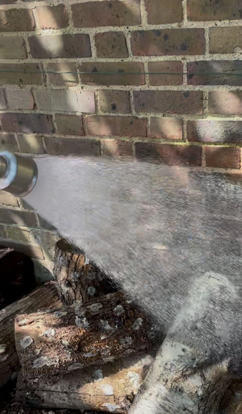 log water.jpeg