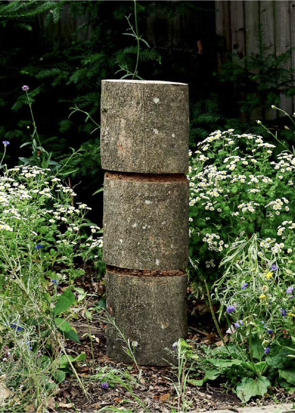 Screenshot 2026-01-08 at 11.25.58.png