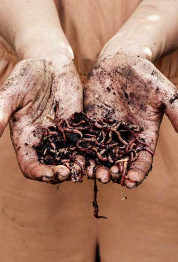 Screenshot 2026-01-08 at 11.26.09.png