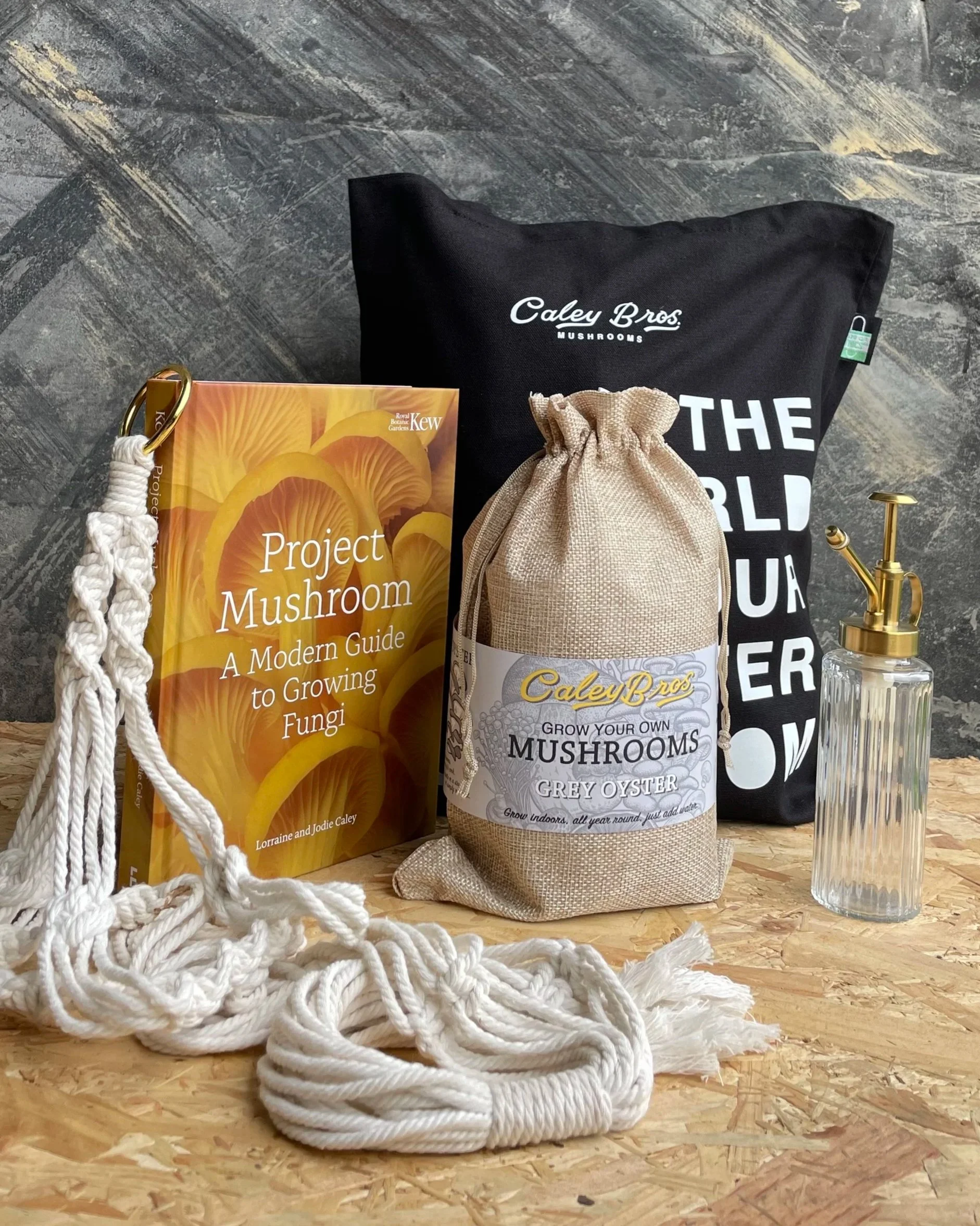 Learn and Grow Bundle