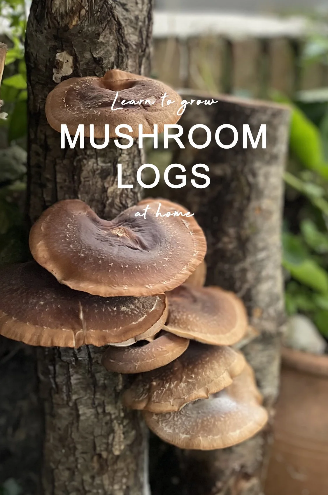 website image workshop - Logs.jpg