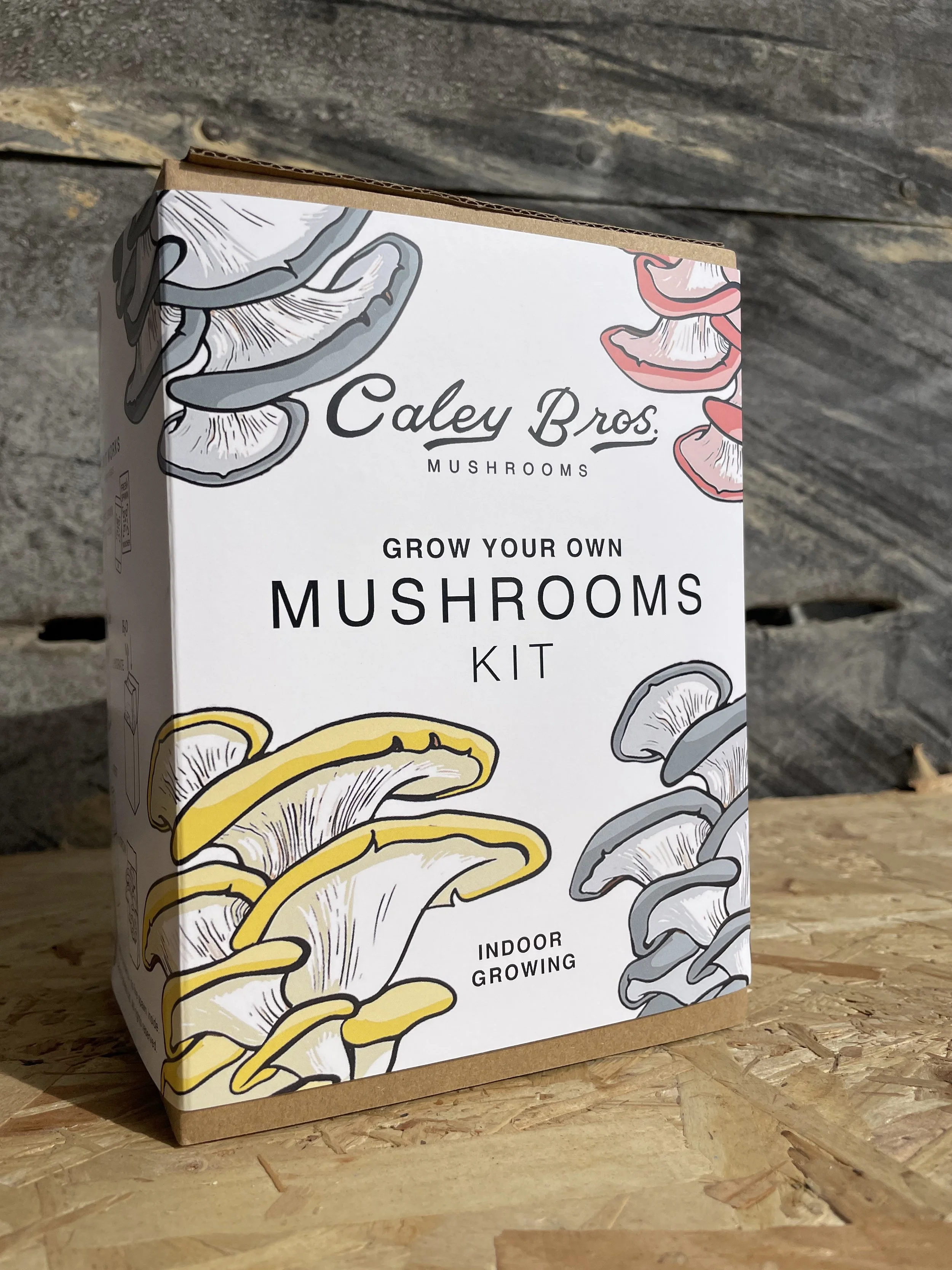 Mushroom Gift Box - Our latest Mushroom Gift Boxes.