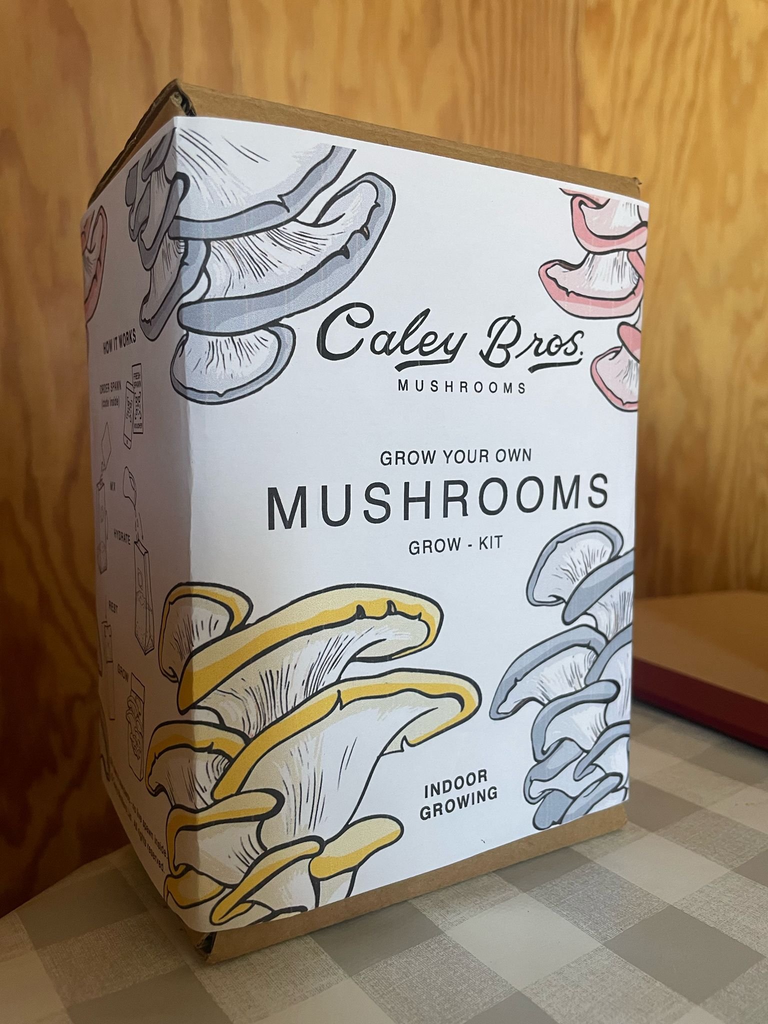 Mushroom Grow Kit - Redemption.