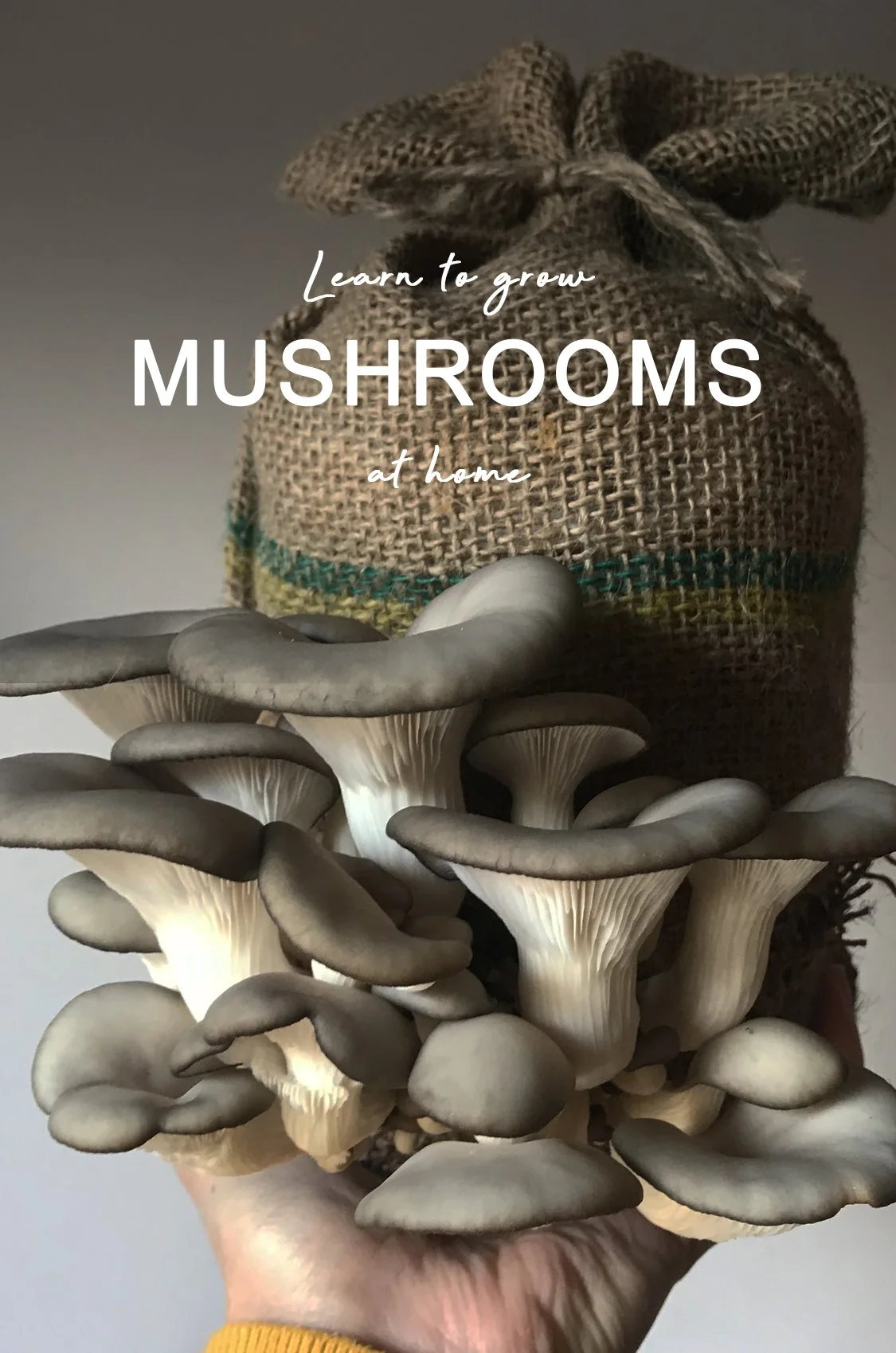 website image workshop - mushrooms.jpg