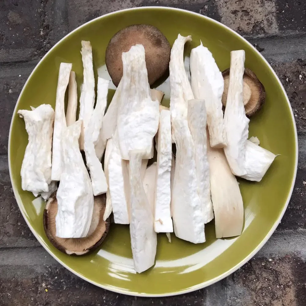 Mushroom Growing Kits &amp; Workshops | Sustainable Gardening | Caley Brothers