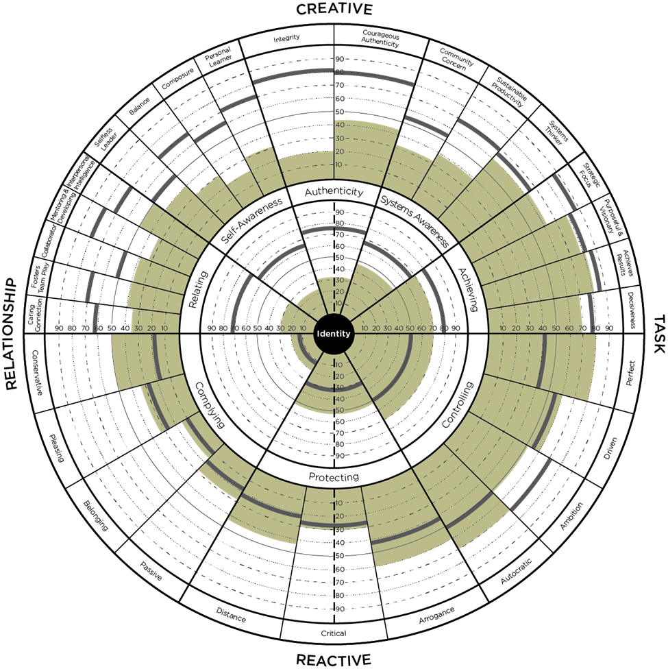 Leadership Circle Profile™