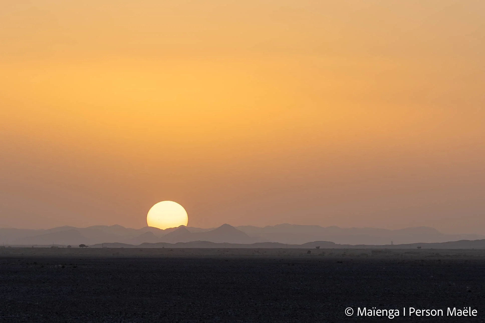 MPF_0894-1.jpg
