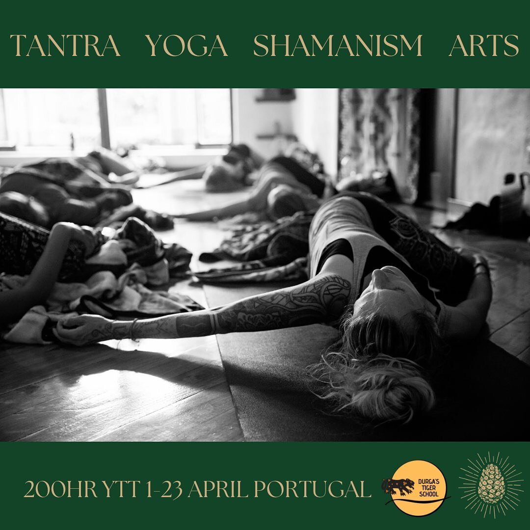 The course at @durgastigerschool is more than a yoga teacher training. 
It is an immersive transformational experience which lasts 23 days, held in untouched nature and celebrated with a yoga teacher certification. 

In the Tantric perspective, we ar