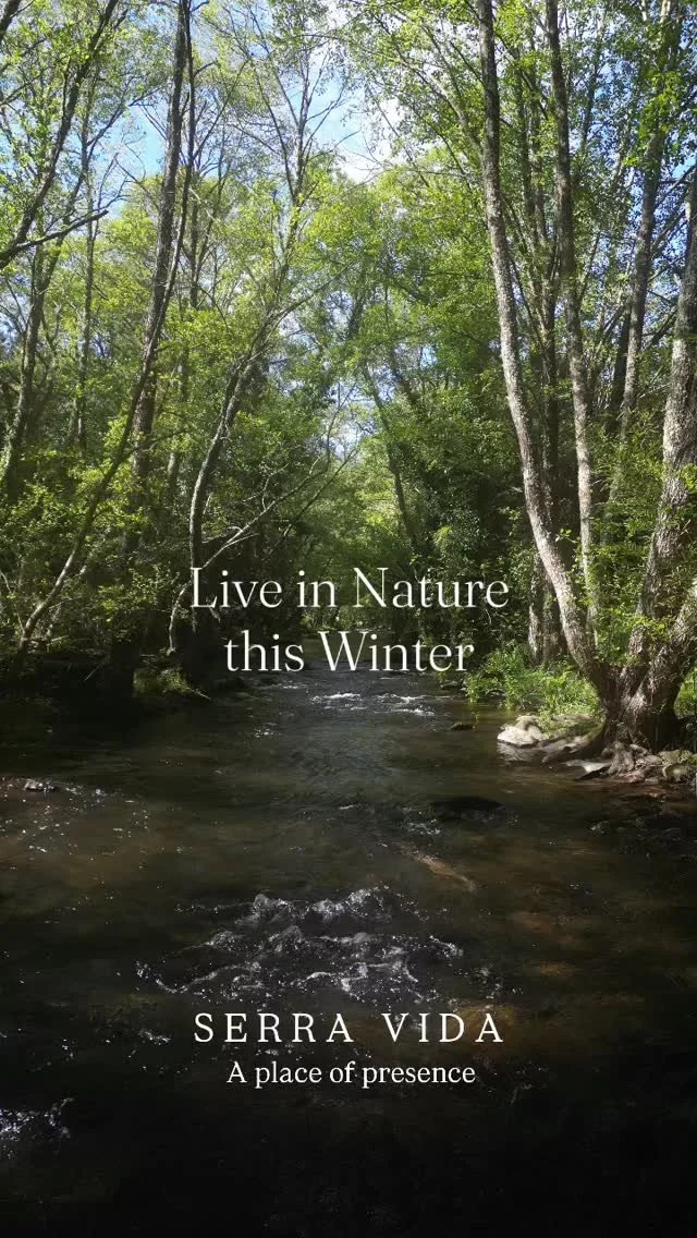 Come and live with us this winter!
In the winter months November, January, & February, we open our doors for our Winter Resident Community.
In this phase of the year we focus on slowing down, so we rent our houses for a longer period for a disc