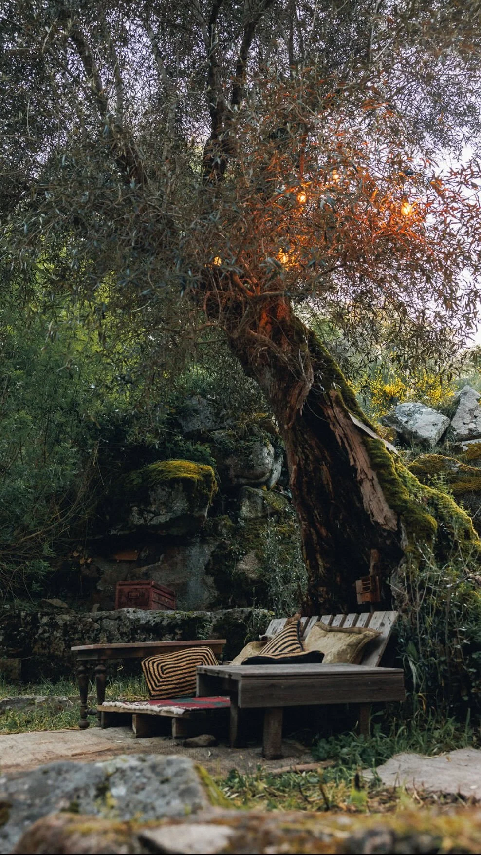 Welcome to our Forest Café 🍃✨
A hidden gem nestled in the valley, held by trees with a view to the glistening River. A place where you get to sit back, relax and enjoy one of our delicious delights whilst being serenaded by the birds and you