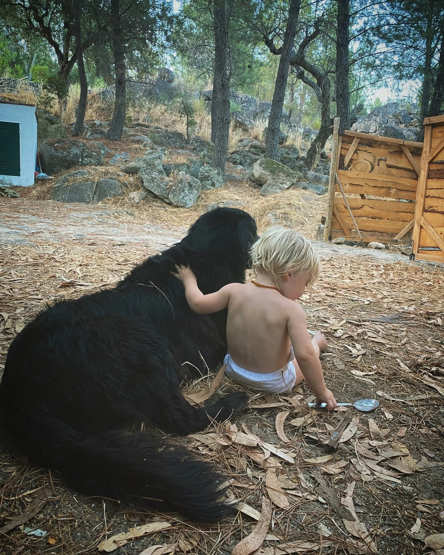 Through my love for you, 
I want to express my love for the whole cosmos, the whole of humanity, and all beings. 

By living with you, I want to learn to love everyone and all species. 

If I succeed in loving you, I will be able to love everyone and