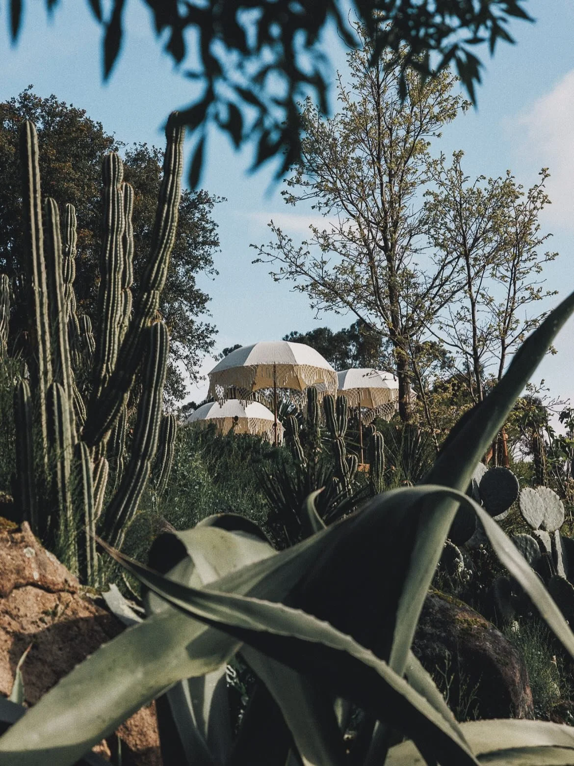 Summer is in full swing and we are loooving it! 

This year our program is filled with diverse types of body nourishing and soul awakening retreats. However, did you know in the summer we also open for conscious holiday stays? You can simply book one