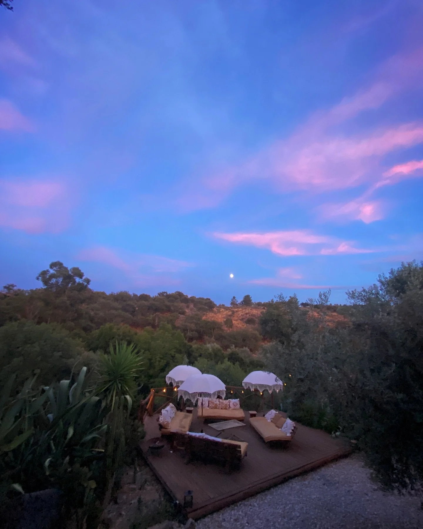 Pink clouds drift across the evening sky, and the moon rises slowly, patient and calm.
If we pause, even for a breath, we can see that the same stillness rests within us.

When the mind is busy, we miss the wonder that is already here. 

But if we sm