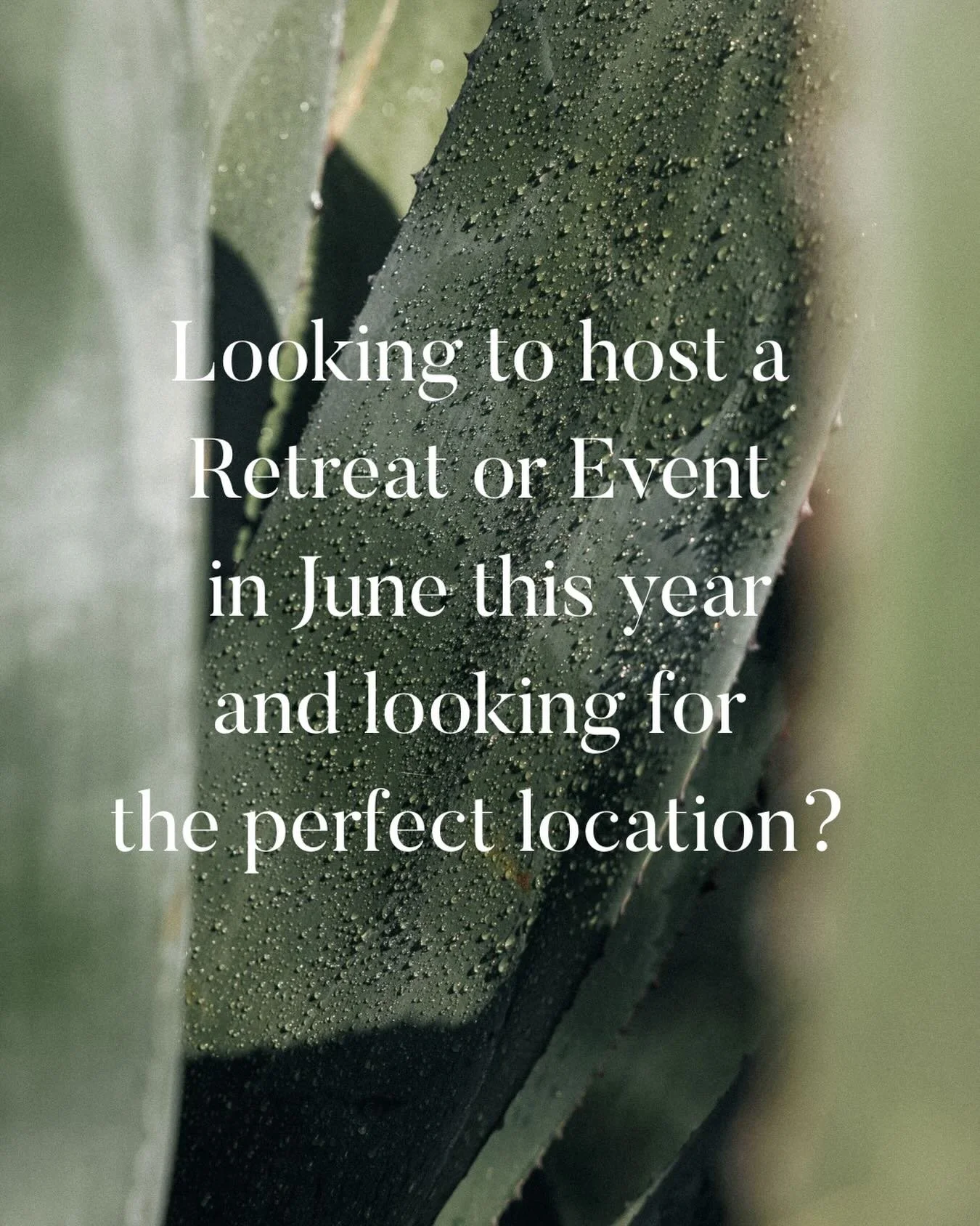 We have openings this June! 

And if you have been thinking of hosting something here at our Place of Presence and needed a sign, then this might be it! 

Unfortunately some of the previous booked retreats had to cancel their booking (this happens sa