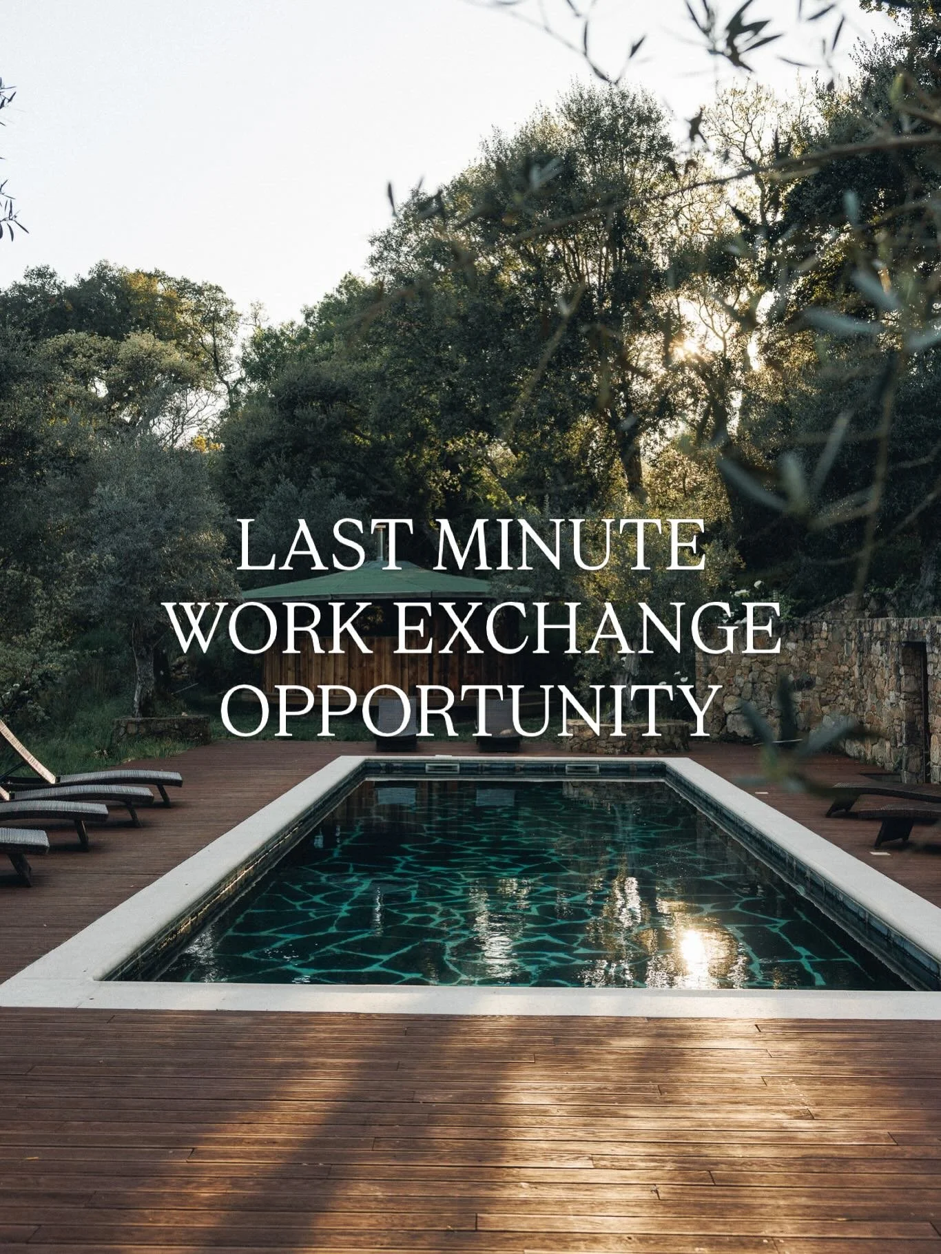 We are looking for that special someone who is willing to come and help us out! 

Are you in need of a nature break and perhaps a life break and wouldn&rsquo;t mind staying with us for 2/3 weeks? Then maybe this message is meant for you ☺️. 

WHAT? 
