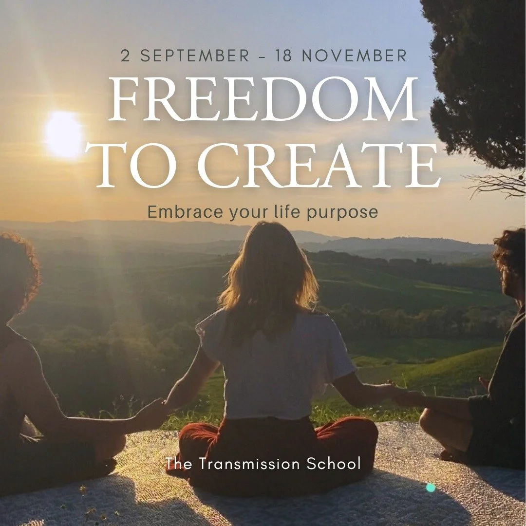 THE SCHOOL — The Transmission School
