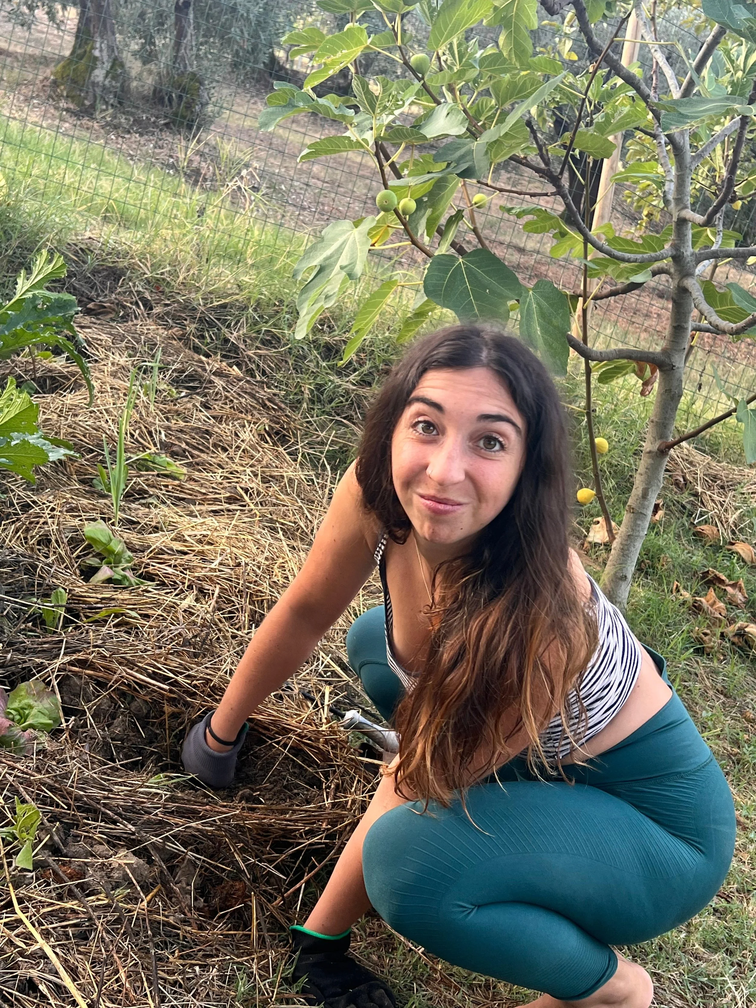 Alice_Vegetable Garden.JPG