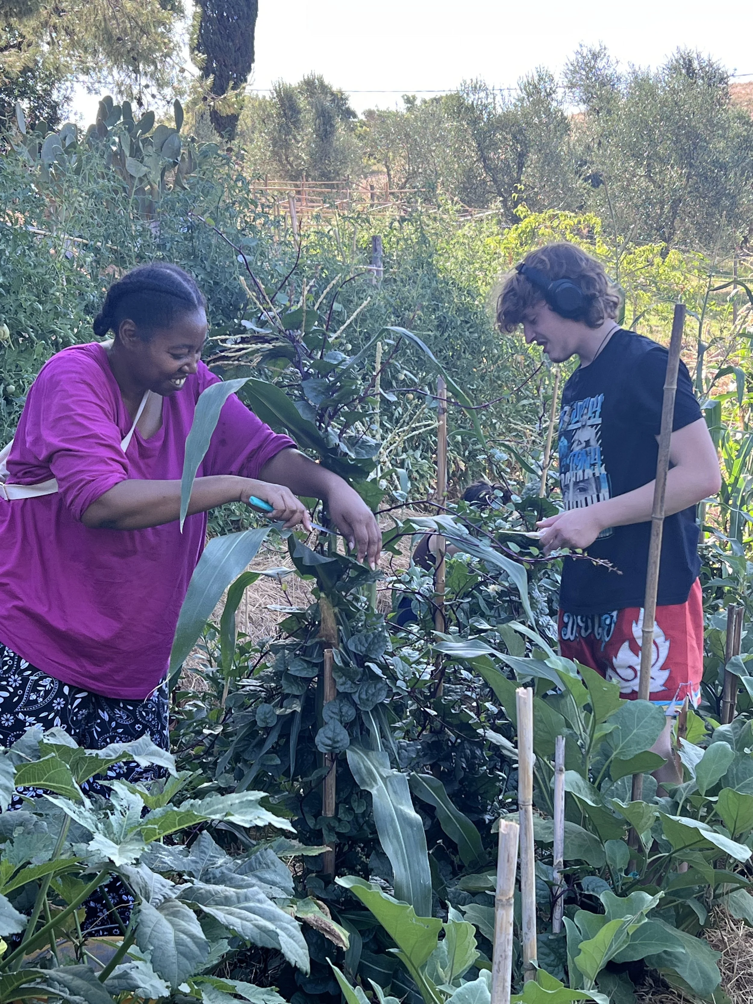 Christelle & Ivor_Vegetable Garden Open Week 2025.jpg