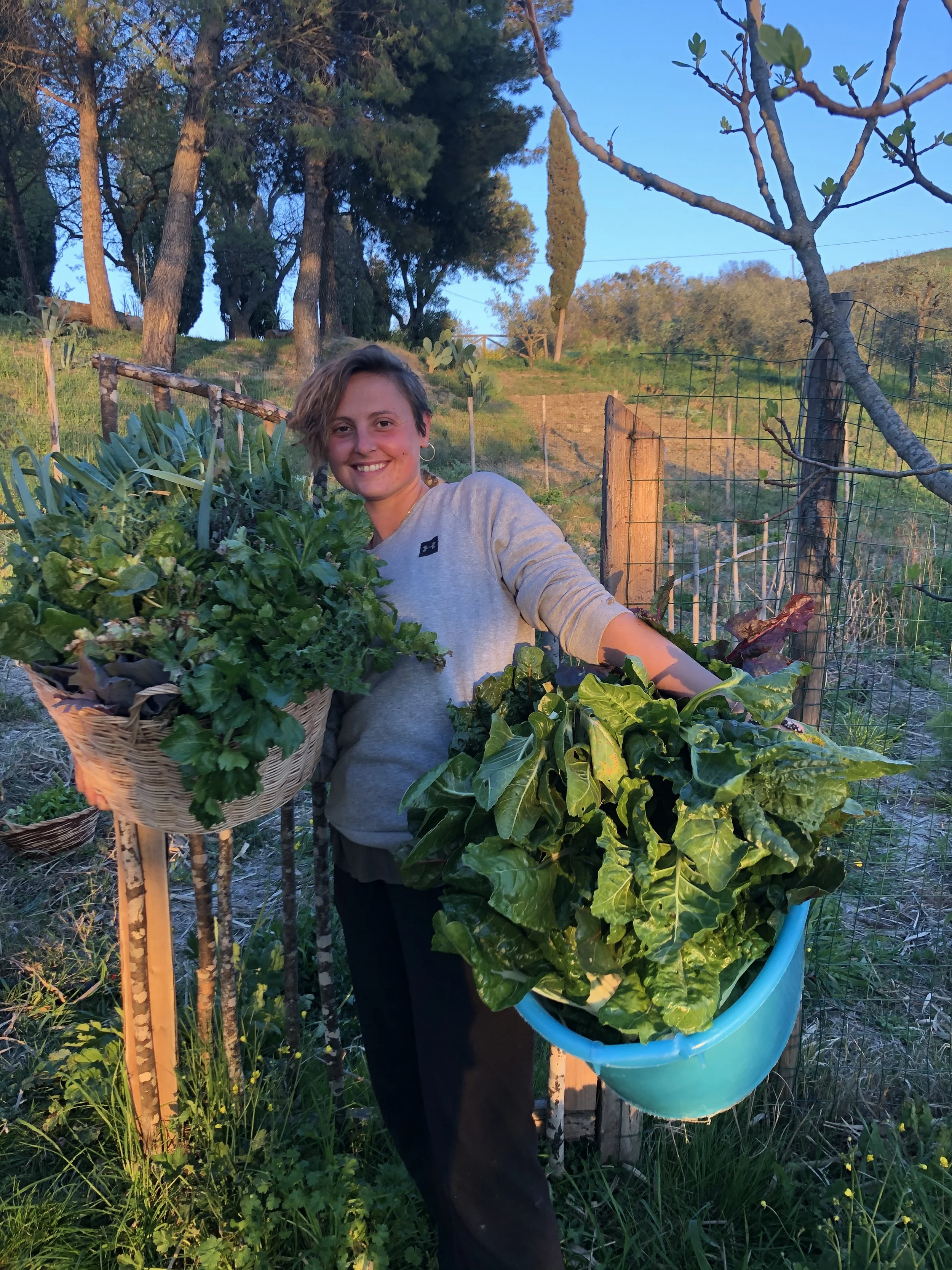 Angelica_Vegetable Garden.jpg