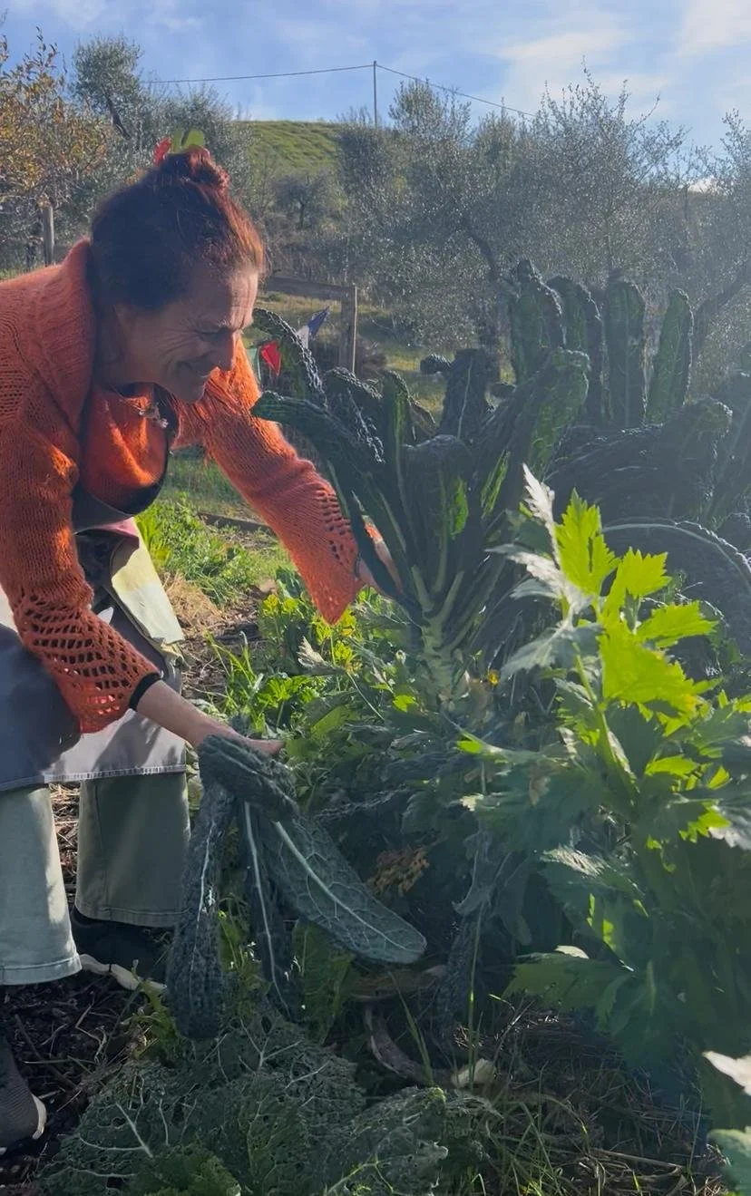 Black Cabbage Stalk Pesto 