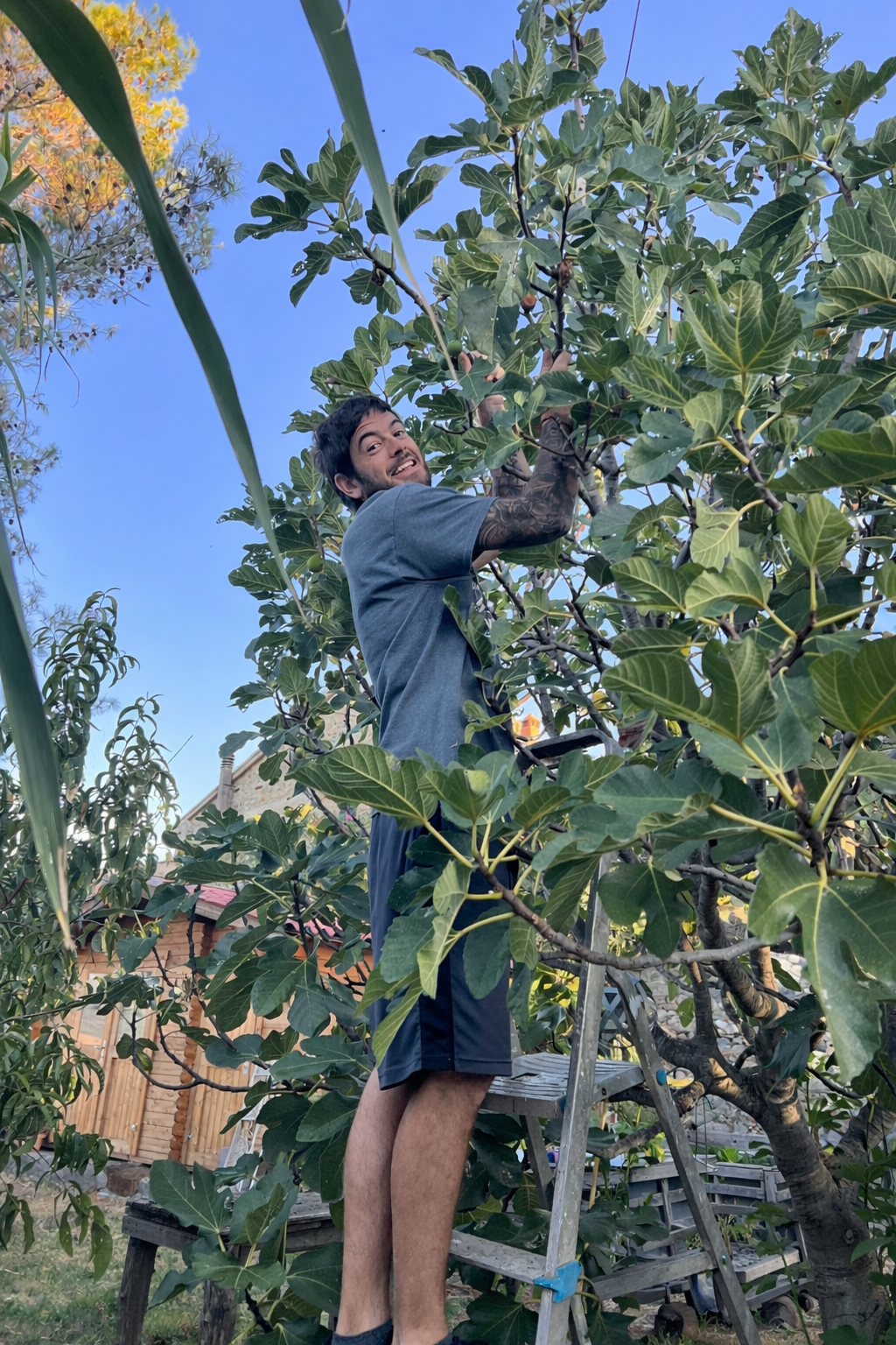 Larry_Vegeteble Garden_Summer 2023.png