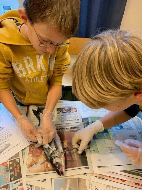 En fisk ved navn Wanda?