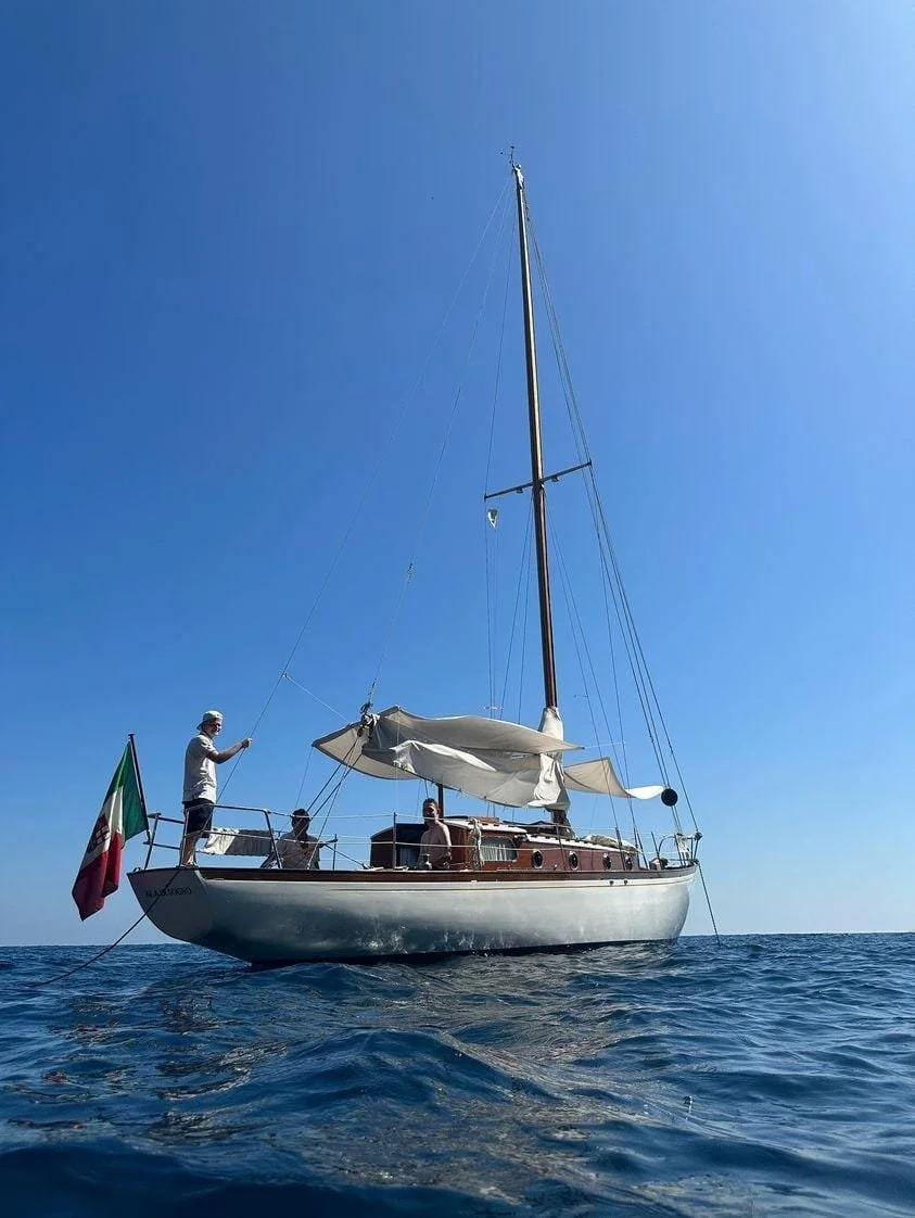 WhatsApp Image 2023-08-01 at 17.46.13.jpeg